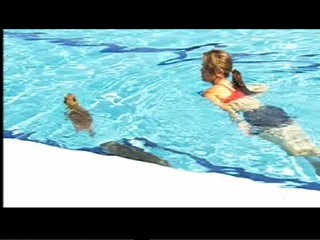 Documentary about capybaras