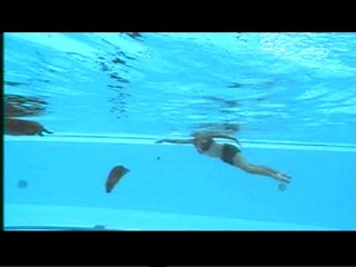 Documentary about capybaras