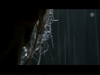 Tatort - Schwarzes Herz