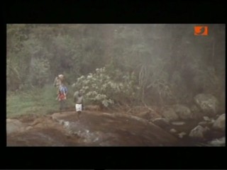 Tarzan And The Jungle Boy