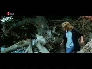 Der Buschpilot  - L' Africain