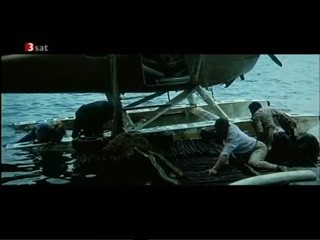 Der Buschpilot  - L' Africain