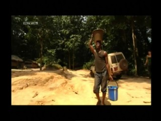 Die Reise meines Lebens â€“ Miras Dschungelbuch