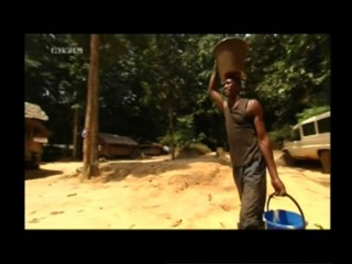 Die Reise meines Lebens â€“ Miras Dschungelbuch