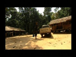 Die Reise meines Lebens â€“ Miras Dschungelbuch