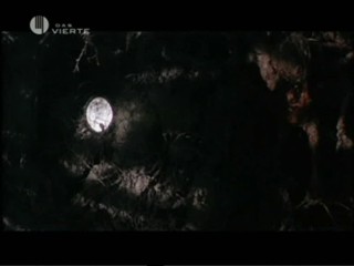 Candyman 2: Farewell To The Flesh