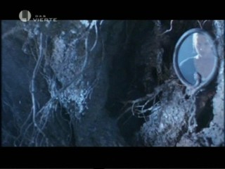 Candyman 2: Farewell To The Flesh