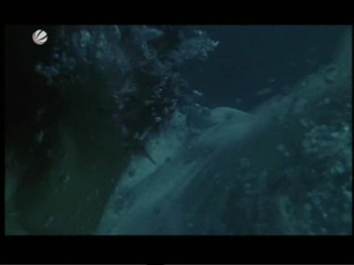 VerfÃ¼hrt - Eine gefÃ¤hrliche Affaire