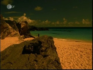 Verliebt auf Bermuda