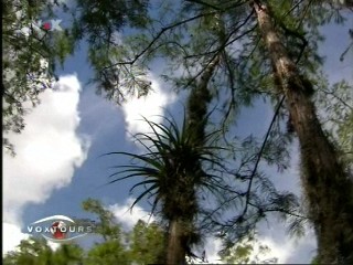 Voxtours - Everglades