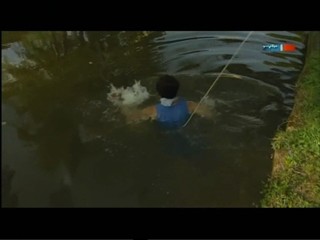 An den bunten Ufern der WeiÃŸen Elster