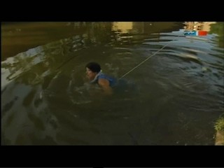 An den bunten Ufern der WeiÃŸen Elster