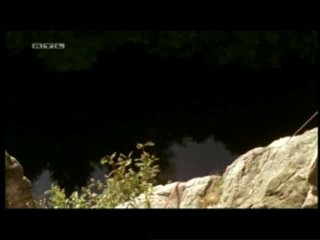 Die Jagd nach dem Schatz der Nibelungen