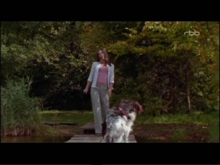 Der Sommer des GlÃ¼cklichen Narren