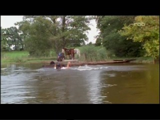 Der Sommer des GlÃ¼cklichen Narren