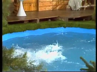 Die Rudi Carrell Show