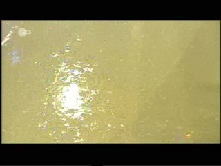 Sonya Kraus - Das will ich wissen