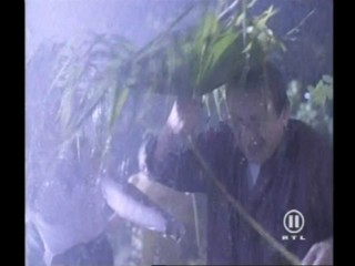 Beverly Hills Family Robinson