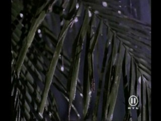 Beverly Hills Family Robinson