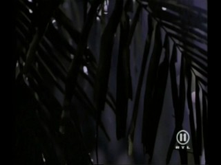 Beverly Hills Family Robinson