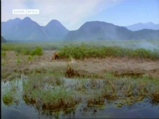 Voyage of the Unicorn