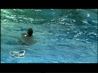 Going Overboard (simulation)