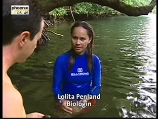 Mantas, Marmor und Mangroven