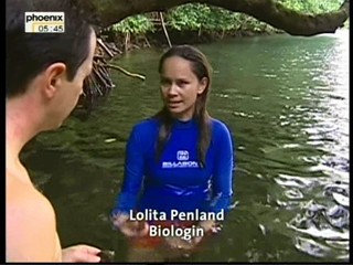 Mantas, Marmor und Mangroven