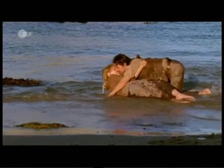 Sterne Ã¼ber Madeira