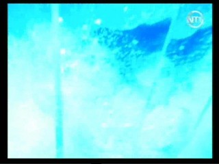 French Variety Show (Irina Bouglione)