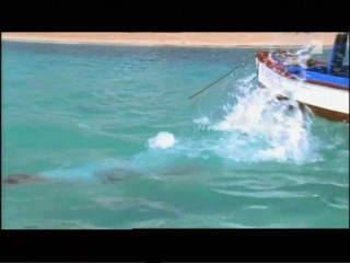 Kubaner kuessen besser