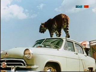 Rette sich wer kann - ÐŸÐ¾Ð»Ð¾ÑÐ°Ñ‚Ñ‹Ð¹ Ñ€ÐµÐ¹Ñ