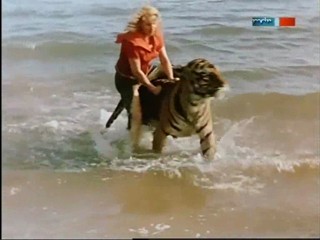 Rette sich wer kann - ÐŸÐ¾Ð»Ð¾ÑÐ°Ñ‚Ñ‹Ð¹ Ñ€ÐµÐ¹Ñ