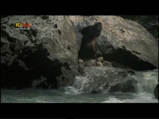 Bibi Blocksberg und das Geheimnis der blauen Eulen