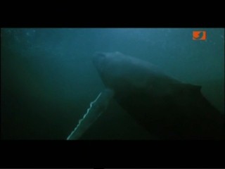 Star Trek 4: The Voyage Home