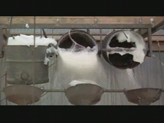 Where Angels Go Trouble Follows