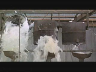 Where Angels Go Trouble Follows