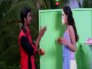 Pallakilo Pellikuthuru