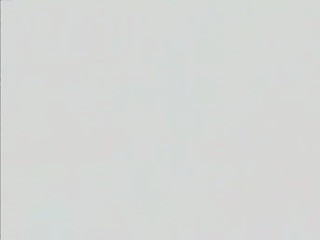 Pallakilo Pellikuthuru