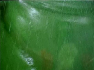 Pallakilo Pellikuthuru