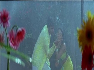 Pallakilo Pellikuthuru