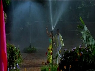 Pallakilo Pellikuthuru