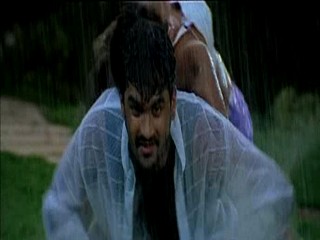 Pallakilo Pellikuthuru