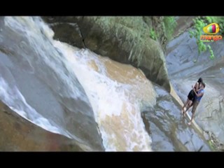 Cricket Girls & Beer