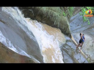 Cricket Girls & Beer