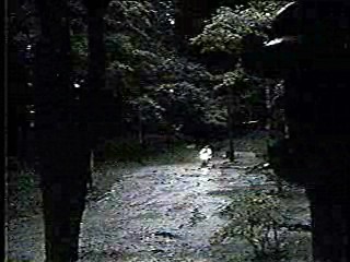 The World of Suzy Wong,  A Girl Named Tamiko