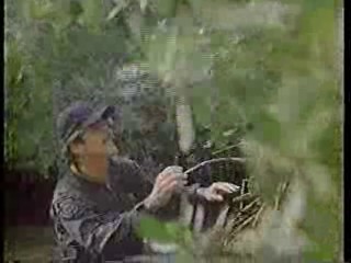 The World of Suzy Wong,  A Girl Named Tamiko