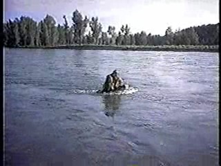 The Far Horizons ,  Thoroughly Modern Millie