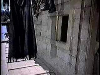 The Far Horizons ,  Thoroughly Modern Millie