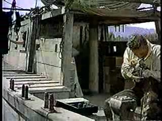 The Far Horizons ,  Thoroughly Modern Millie